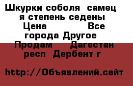 Шкурки соболя (самец) 1-я степень седены › Цена ­ 12 000 - Все города Другое » Продам   . Дагестан респ.,Дербент г.